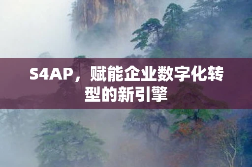 S4AP，赋能企业数字化转型的新引擎