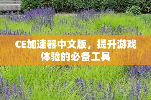 CE加速器中文版，提升游戏体验的必备工具