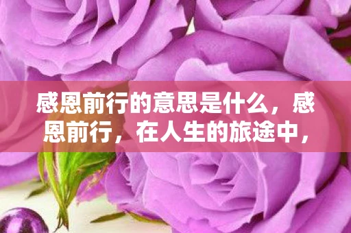 感恩前行的意思是什么，感恩前行，在人生的旅途中，学会感恩与珍惜