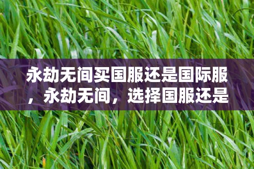 永劫无间买国服还是国际服，永劫无间，选择国服还是STEAM？