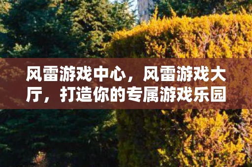 风雷游戏中心，风雷游戏大厅，打造你的专属游戏乐园