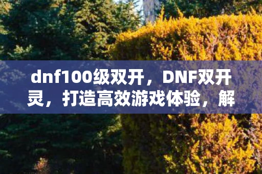 dnf100级双开，DNF双开灵，打造高效游戏体验，解锁无限可能