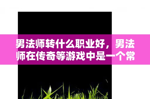 男法师转什么职业好，男法师在传奇等游戏中是一个常见的角色，其职业选择对于游戏进程和玩家体验至关重要。那么，男法师转什么好？下面我将从多个角度进行分析，帮助玩家做出明智的选择