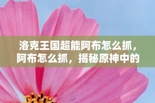 洛克王国超能阿布怎么抓，阿布怎么抓，揭秘原神中的神秘角色捕捉技巧