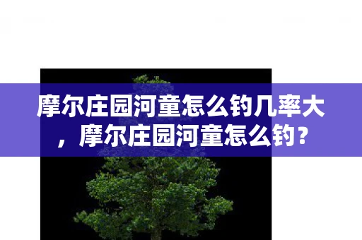 摩尔庄园河童怎么钓几率大，摩尔庄园河童怎么钓？