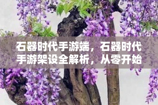 石器时代手游端，石器时代手游架设全解析，从零开始打造你的专属游戏世界