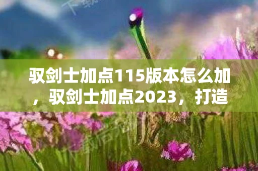 驭剑士加点115版本怎么加,驭剑士加点2023,打造最强剑术大师 驭剑士加点115版本怎么加,驭剑士加点2023,打造最强剑术大师