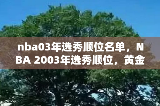 nba03年选秀顺位名单，NBA 2003年选秀顺位，黄金一代的崛起