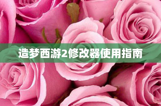 造梦西游2修改器使用指南图片