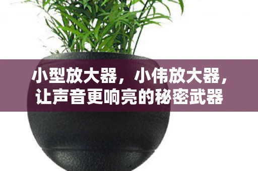 小型放大器，小伟放大器，让声音更响亮的秘密武器