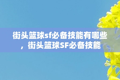 街头篮球sf必备技能有哪些,街头篮球SF必备技能 街头篮球sf必备技能有哪些,街头篮球SF必备技能