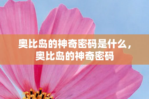 奥比岛的神奇密码是什么，奥比岛的神奇密码
