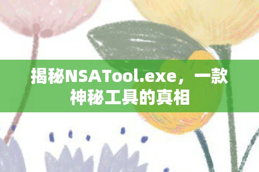 揭秘NSATool.exe，一款神秘工具的真相