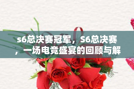 s6总决赛冠军，S6总决赛，一场电竞盛宴的回顾与解析