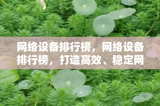 网络设备排行榜，网络设备排行榜，打造高效、稳定网络环境的必备利器