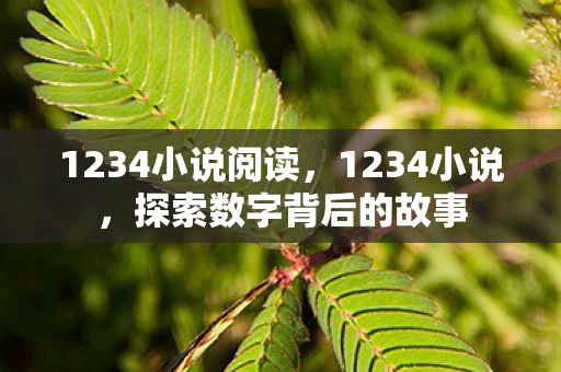 1234小说阅读，1234小说，探索数字背后的故事