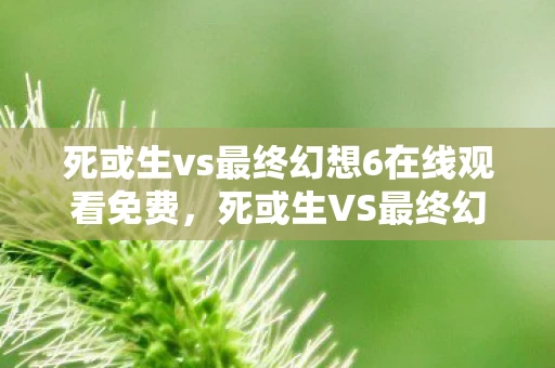 死或生vs最终幻想6在线观看免费，死或生VS最终幻想，两大经典IP的较量