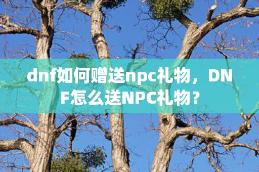 dnf如何赠送npc礼物,DNF怎么送NPC礼物? dnf如何赠送npc礼物,DNF怎么送NPC礼物?