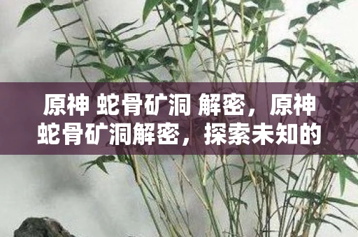 原神 蛇骨矿洞 解密，原神蛇骨矿洞解密，探索未知的挑战与宝藏