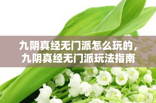 九阴真经无门派怎么玩的，九阴真经无门派玩法指南
