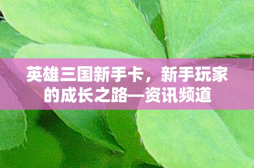 新手玩家的成长之路图片