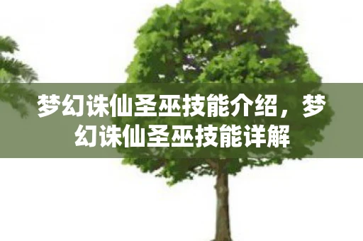 梦幻诛仙圣巫技能介绍，梦幻诛仙圣巫技能详解