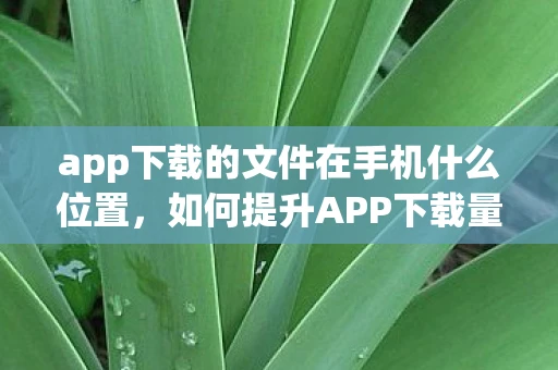 app下载的文件在手机什么位置，如何提升APP下载量，策略与技巧