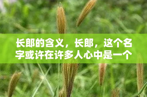 长郎的含义，长郎，这个名字或许在许多人心中是一个谜，一个遥远而陌生的存在。然而，当我们深入探索，会发现他其实与我们每个人都息息相关，他的故事充满了传奇与智慧。那么，长郎究竟在哪？让我们一起揭开这个谜底