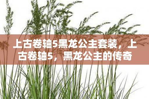 上古卷轴5黑龙公主套装,上古卷轴5,黑龙公主的传奇 上古卷轴5黑龙公主套装,上古卷轴5,黑龙公主的传奇