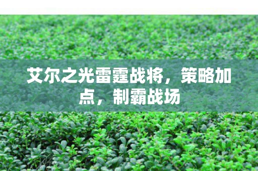 艾尔之光雷霆战将图片