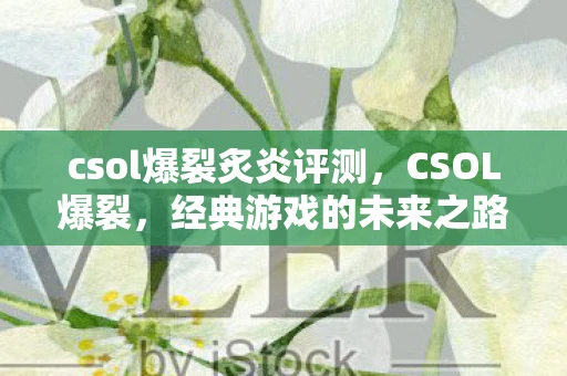 csol爆裂炙炎评测,CSOL爆裂,经典游戏的未来之路 csol爆裂炙炎评测,CSOL爆裂,经典游戏的未来之路