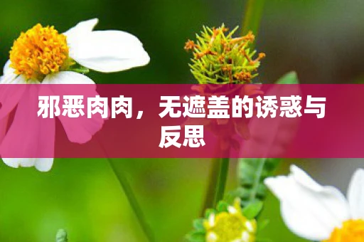 邪恶肉肉,无遮盖的诱惑与反思 邪恶肉肉,无遮盖的诱惑与反思