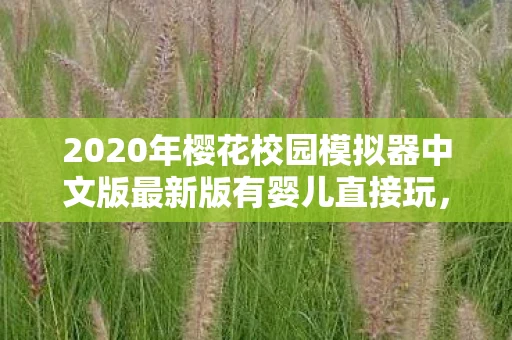2020年樱花校园模拟器中文版最新版有婴儿直接玩，樱花校园模拟器中文版最新版，探索婴儿生活的奇妙之旅