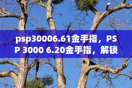 psp30006.61金手指,PSP 3000 6.20金手指,解锁游戏新境界的必备工具 psp30006.61金手指,PSP 3000 6.20金手指,解锁游戏新境界的必备工具