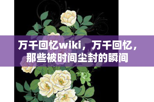 万千回忆wiki，万千回忆，那些被时间尘封的瞬间