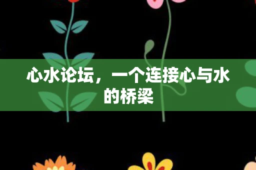 心水论坛，一个连接心与水的桥梁