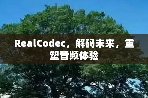 RealCodec，解码未来，重塑音频体验