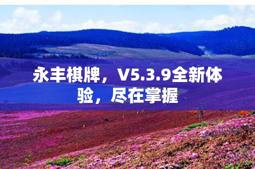 9全新体验图片