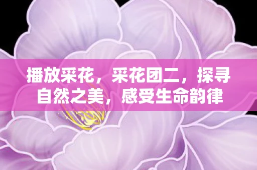 播放采花，采花团二，探寻自然之美，感受生命韵律