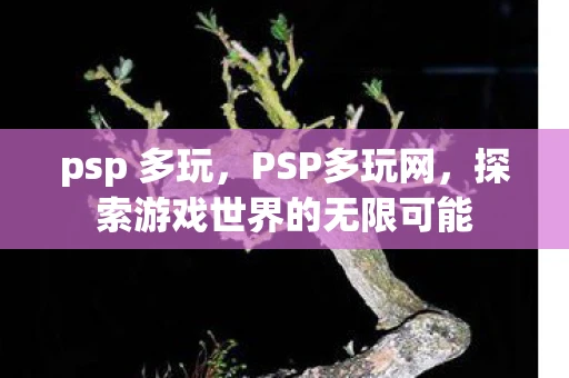 psp 多玩，PSP多玩网，探索游戏世界的无限可能