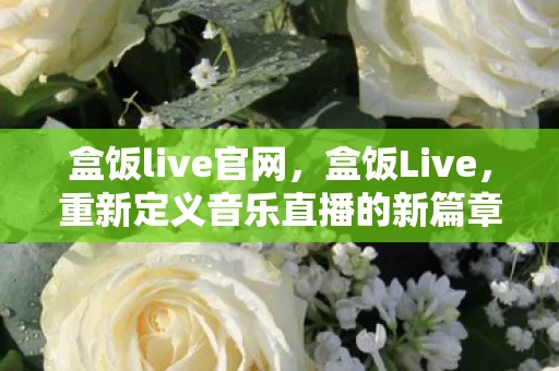 盒饭live官网,盒饭Live,重新定义音乐直播的新篇章 盒饭live官网,盒饭Live,重新定义音乐直播的新篇章
