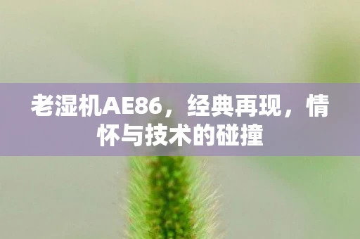 老湿机AE86，经典再现，情怀与技术的碰撞