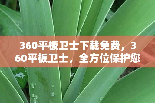 360平板卫士下载免费,360平板卫士,全方位保护您的平板电脑安全 360平板卫士下载免费,360平板卫士,全方位保护您的平板电脑安全