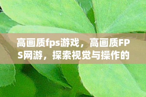 高画质fps游戏，高画质FPS网游，探索视觉与操作的完美融合