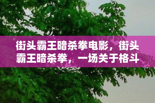街头霸王暗杀拳电影，街头霸王暗杀拳，一场关于格斗与命运的传奇