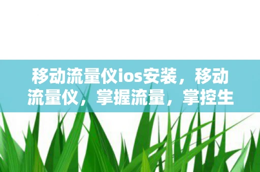 移动流量仪ios安装,移动流量仪,掌握流量,掌控生活 移动流量仪ios安装,移动流量仪,掌握流量,掌控生活