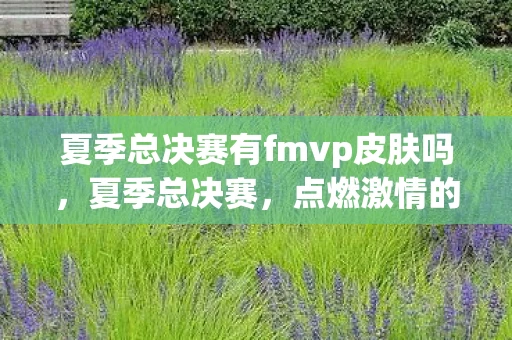 夏季总决赛有fmvp皮肤吗，夏季总决赛，点燃激情的竞技场