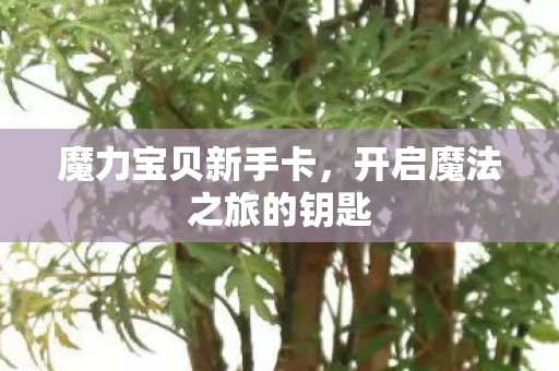 开启魔法之旅的钥匙图片