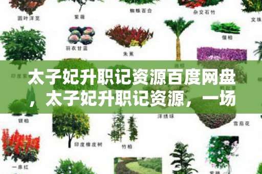 太子妃升职记资源百度网盘,太子妃升职记资源,一场跨越时空的浪漫喜剧 太子妃升职记资源百度网盘,太子妃升职记资源,一场跨越时空的浪漫喜剧