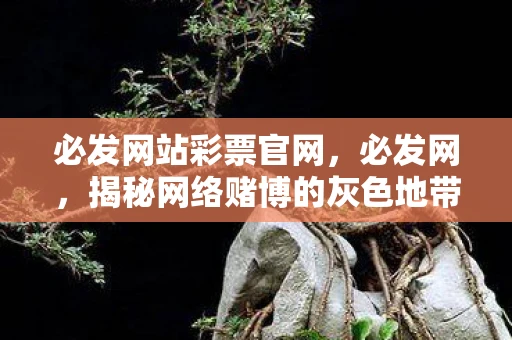 必发网站彩票官网，必发网，揭秘网络赌博的灰色地带